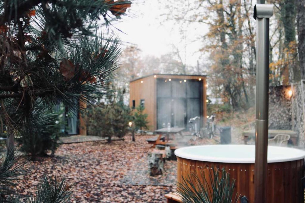 Tiny house met hond