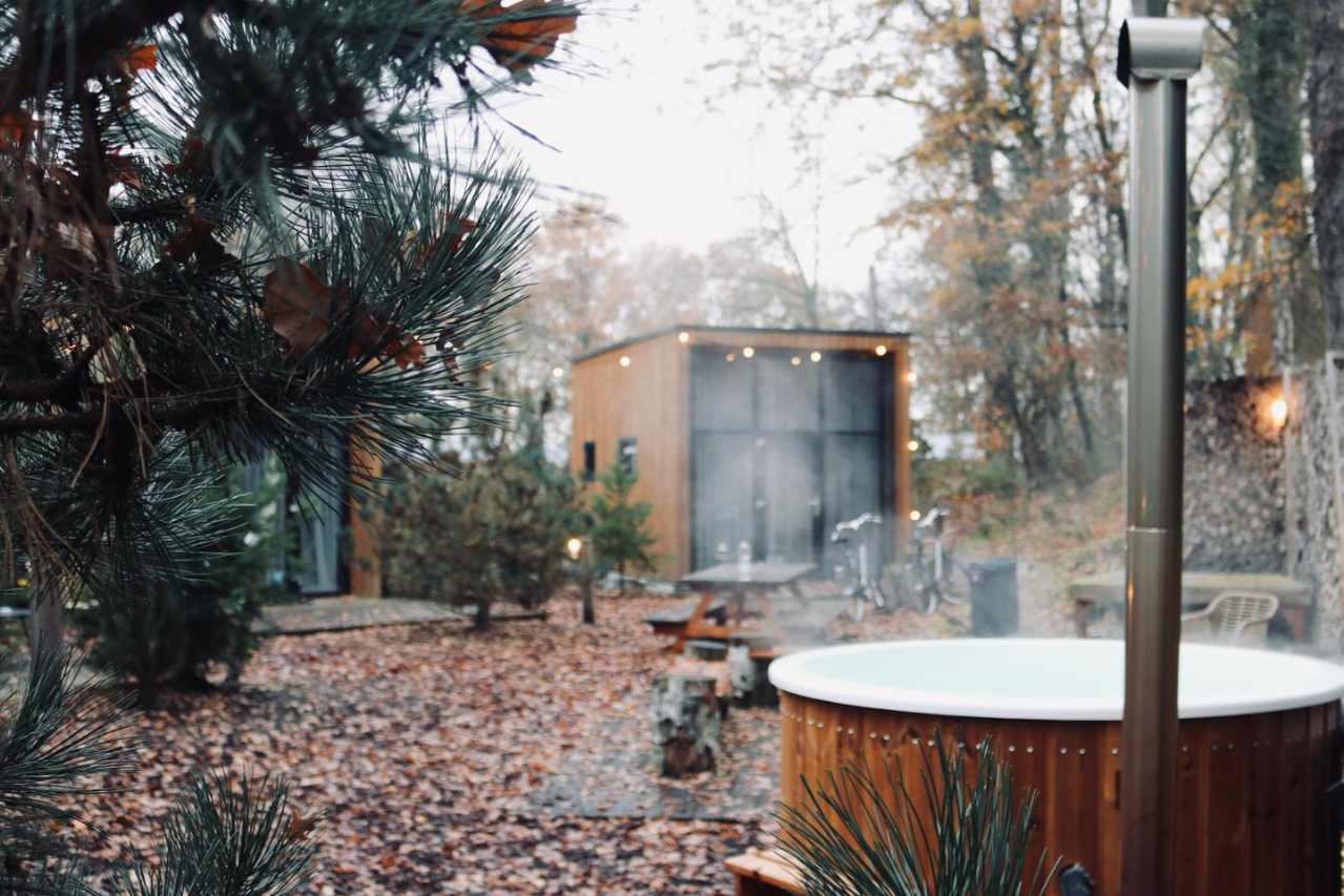Tiny house met hond